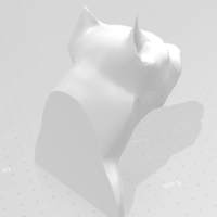 American staffordshire terrier - Thumbnail 2