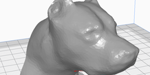 Image 282054