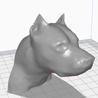 American staffordshire terrier - Thumbnail 4