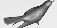 Image 282475