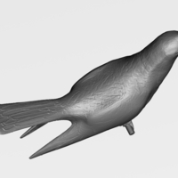 Cuckoo - Thumbnail 1