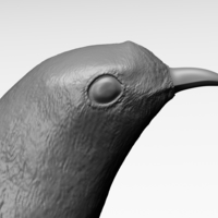 Cuckoo - Thumbnail 2