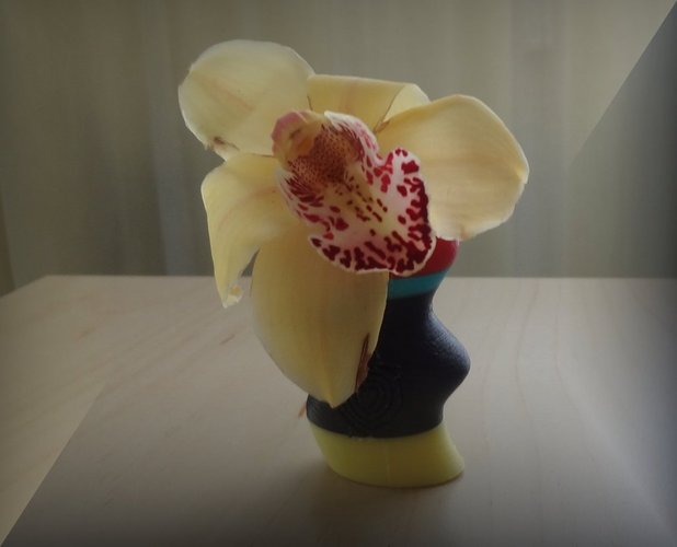 Multicolour tray and vase 3D Print 28256