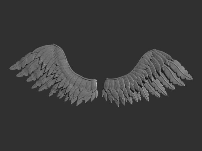 3d wings app