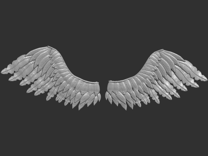3d wings