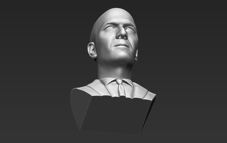 Zinedine Zidane bust 3D printing ready stl obj formats 3D Print 282904