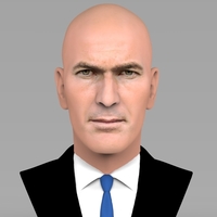 Small Zinedine Zidane bust ready for full color 3D printing 3D Printing 282908