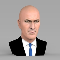 Zinedine Zidane bust ready for full color 3D printing - Thumbnail 7