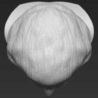 Margaret Thatcher bust 3D printing ready stl obj formats - Thumbnail 13