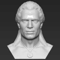 Small Geralt of Rivia The Witcher Cavill bust 3D printing ready 3D Printing 283062