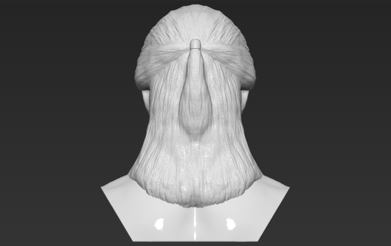 Geralt of Rivia The Witcher Cavill bust 3D printing ready 3D Print 283067