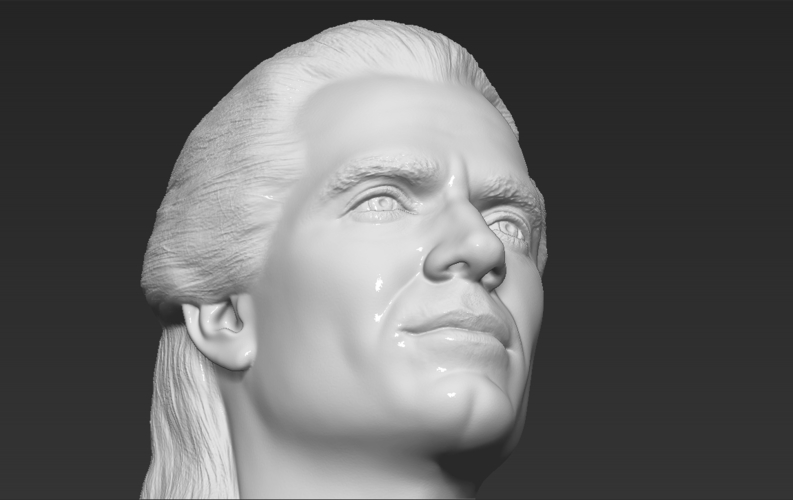 Geralt of Rivia The Witcher Cavill bust 3D printing ready 3D Print 283080