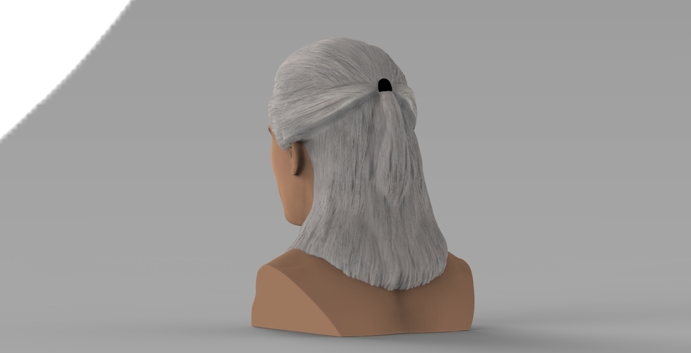 Geralt of Rivia The Witcher Cavill bust full color 3D printing 3D Print 283088