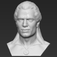 Geralt of Rivia The Witcher Cavill bust full color 3D printing - Thumbnail 11