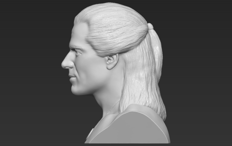 Geralt of Rivia The Witcher Cavill bust full color 3D printing 3D Print 283096