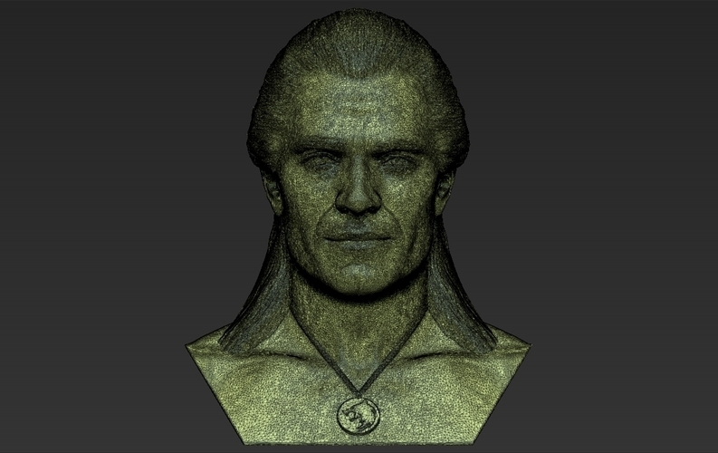 Geralt of Rivia The Witcher Cavill bust full color 3D printing 3D Print 283104