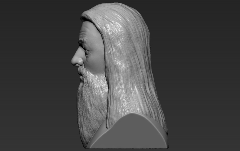 Dumbledore from Harry Potter bust 3D printing ready stl obj 3D Print 283109