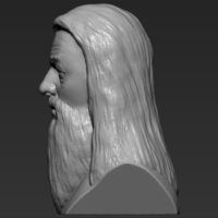 Dumbledore from Harry Potter bust 3D printing ready stl obj - Thumbnail 4