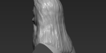Image 283110