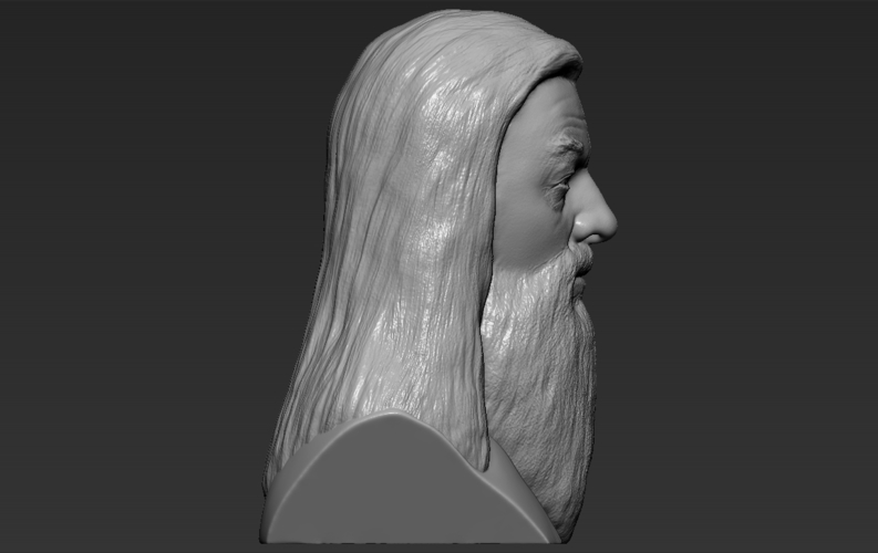 Dumbledore from Harry Potter bust 3D printing ready stl obj 3D Print 283113