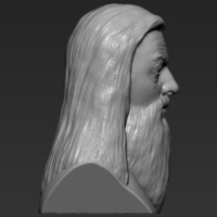 Dumbledore from Harry Potter bust 3D printing ready stl obj - Thumbnail 8