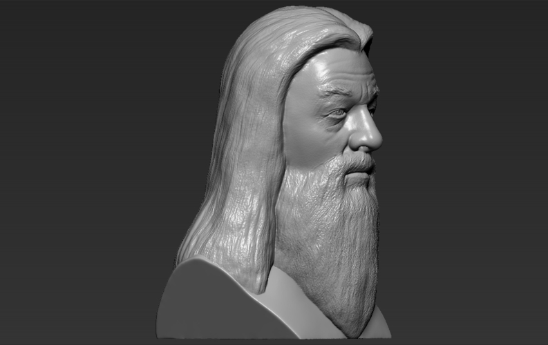 Dumbledore from Harry Potter bust 3D printing ready stl obj 3D Print 283114