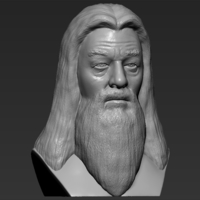 Dumbledore from Harry Potter bust 3D printing ready stl obj - Thumbnail 11