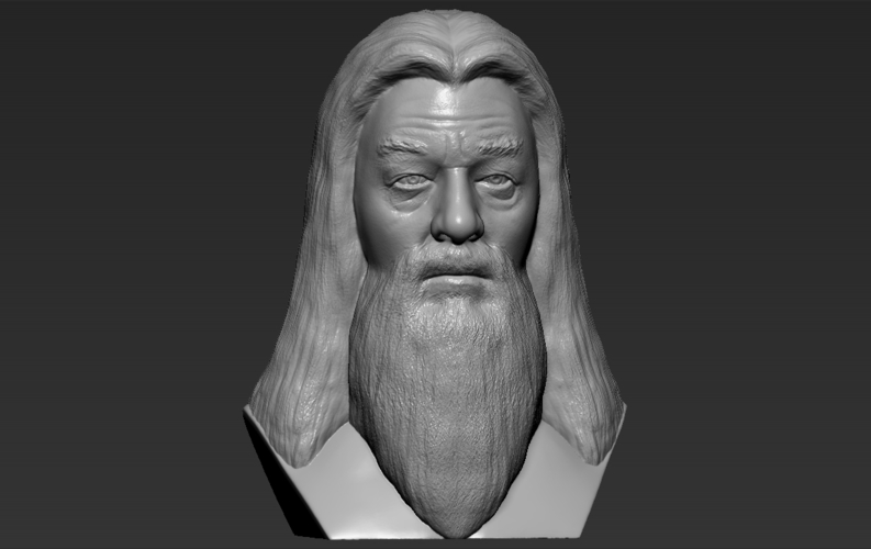 Dumbledore from Harry Potter bust 3D printing ready stl obj 3D Print 283117