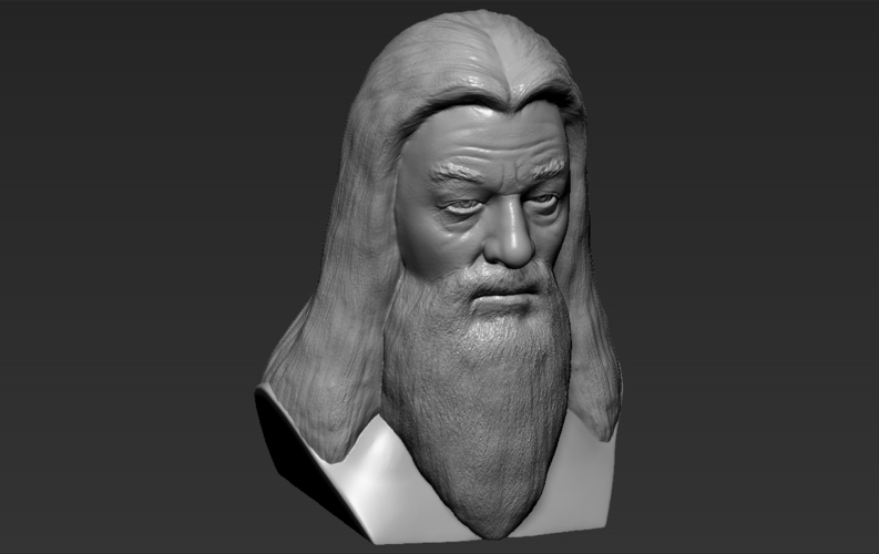 Dumbledore from Harry Potter bust 3D printing ready stl obj 3D Print 283118