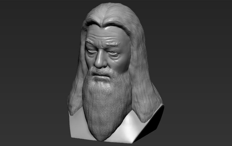 Dumbledore from Harry Potter bust 3D printing ready stl obj 3D Print 283119