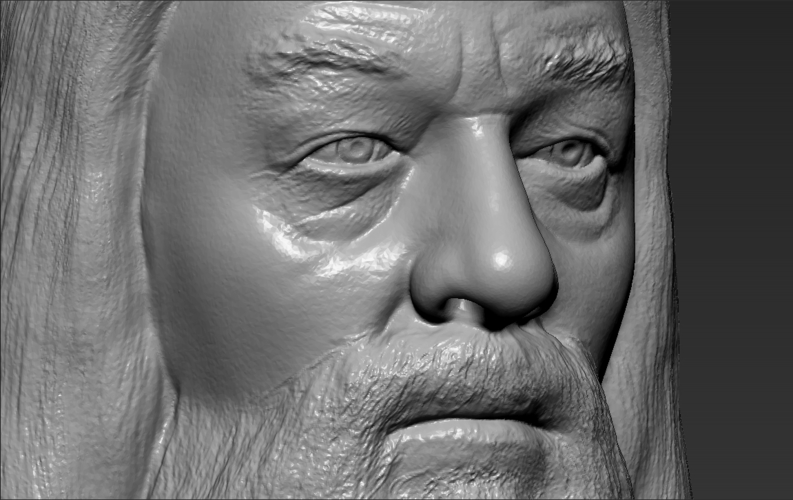 Dumbledore from Harry Potter bust 3D printing ready stl obj 3D Print 283122