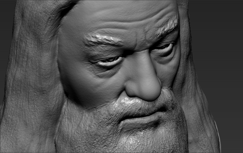 Dumbledore from Harry Potter bust 3D printing ready stl obj 3D Print 283123