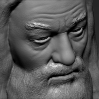 Dumbledore from Harry Potter bust 3D printing ready stl obj - Thumbnail 18