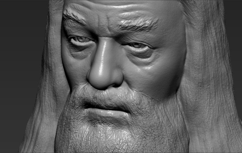Dumbledore from Harry Potter bust 3D printing ready stl obj 3D Print 283124