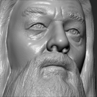 Dumbledore from Harry Potter bust 3D printing ready stl obj - Thumbnail 20
