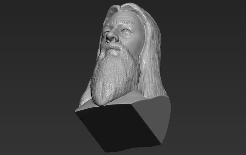 Dumbledore from Harry Potter bust 3D printing ready stl obj 3D Print 283126