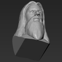 Dumbledore from Harry Potter bust 3D printing ready stl obj - Thumbnail 22