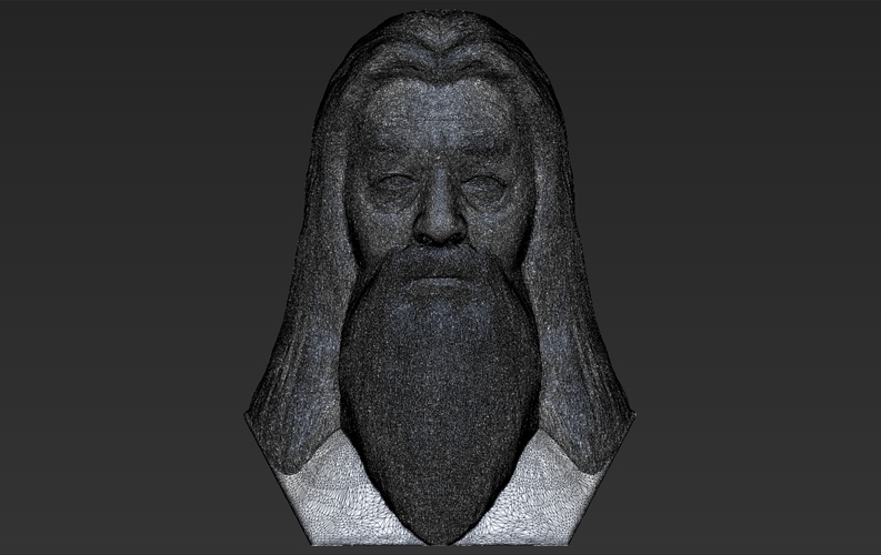 Dumbledore from Harry Potter bust 3D printing ready stl obj 3D Print 283128