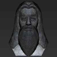 Dumbledore from Harry Potter bust 3D printing ready stl obj - Thumbnail 23