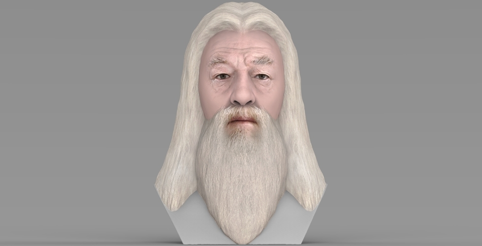 Dumbledore from Harry Potter bust for full color 3D printing