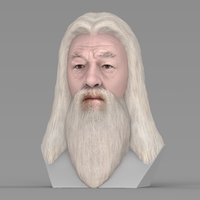 Dumbledore from Harry Potter bust for full color 3D printing - Thumbnail 2