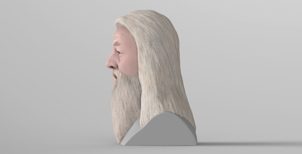 Dumbledore from Harry Potter bust for full color 3D printing 3D Print 283132
