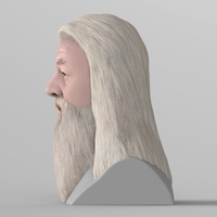 Dumbledore from Harry Potter bust for full color 3D printing - Thumbnail 3