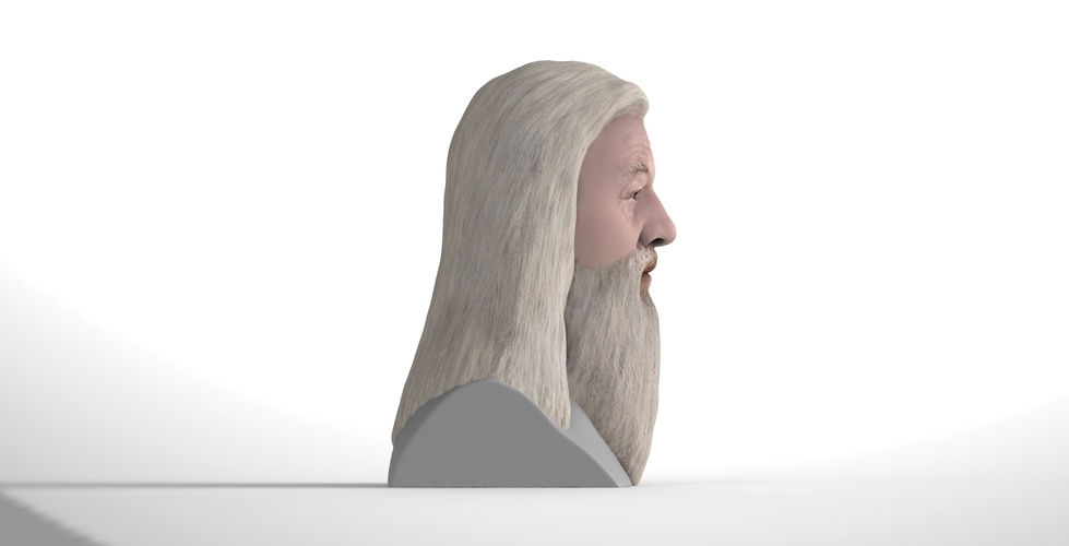 Dumbledore from Harry Potter bust for full color 3D printing 3D Print 283133
