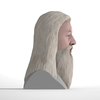 Dumbledore from Harry Potter bust for full color 3D printing - Thumbnail 4