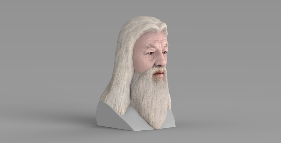 Dumbledore from Harry Potter bust for full color 3D printing 3D Print 283134