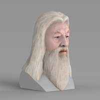 Dumbledore from Harry Potter bust for full color 3D printing - Thumbnail 5