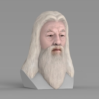 Dumbledore from Harry Potter bust for full color 3D printing - Thumbnail 6