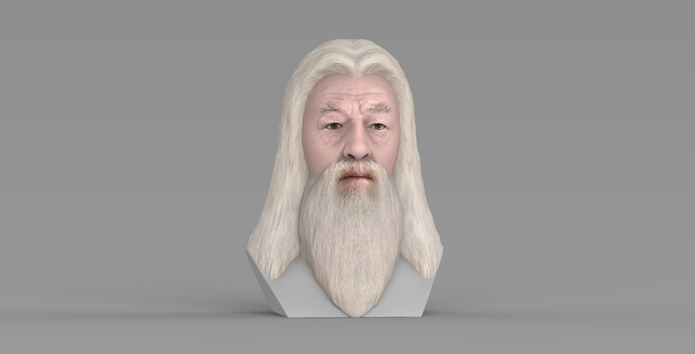 Dumbledore from Harry Potter bust for full color 3D printing 3D Print 283136