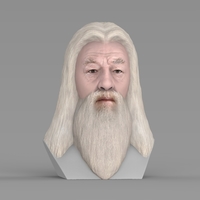 Dumbledore from Harry Potter bust for full color 3D printing - Thumbnail 7